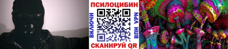 Псилоцибиновые грибы мицелий как найти наркотики Воскресенск